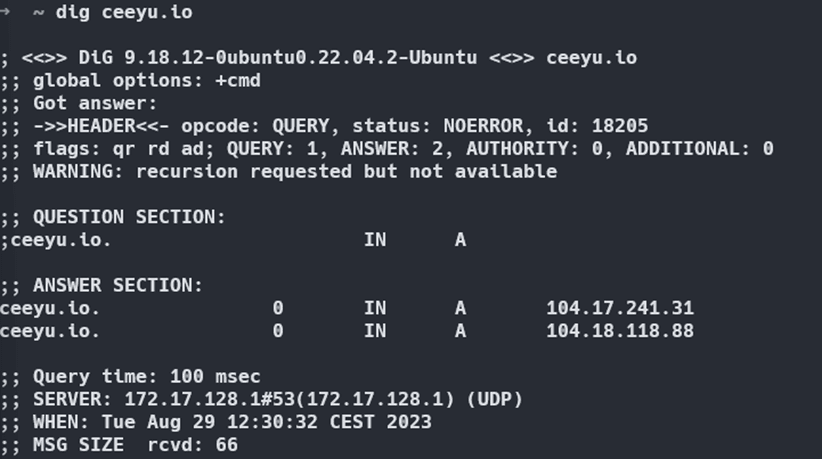 Hacking Dns Lookup With Dig