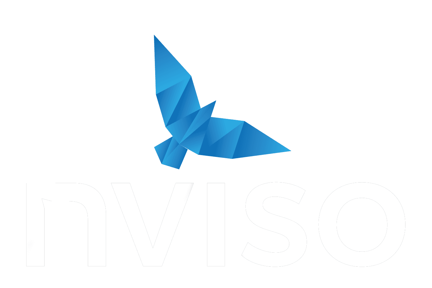 Ceeyu customer reference - NVISO